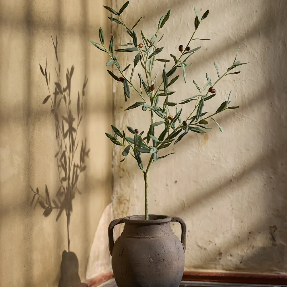 Olive tree 120 cm Green