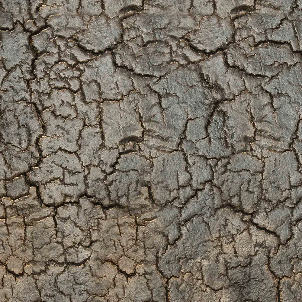 Pentagon Coffee Table