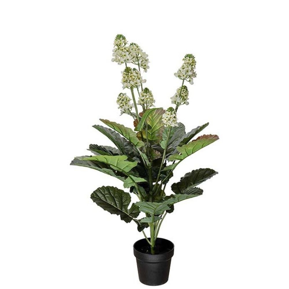 Cole Flower White 105 cm