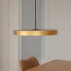 Asteria Plus Lamp Ø43 cm Brass/Black