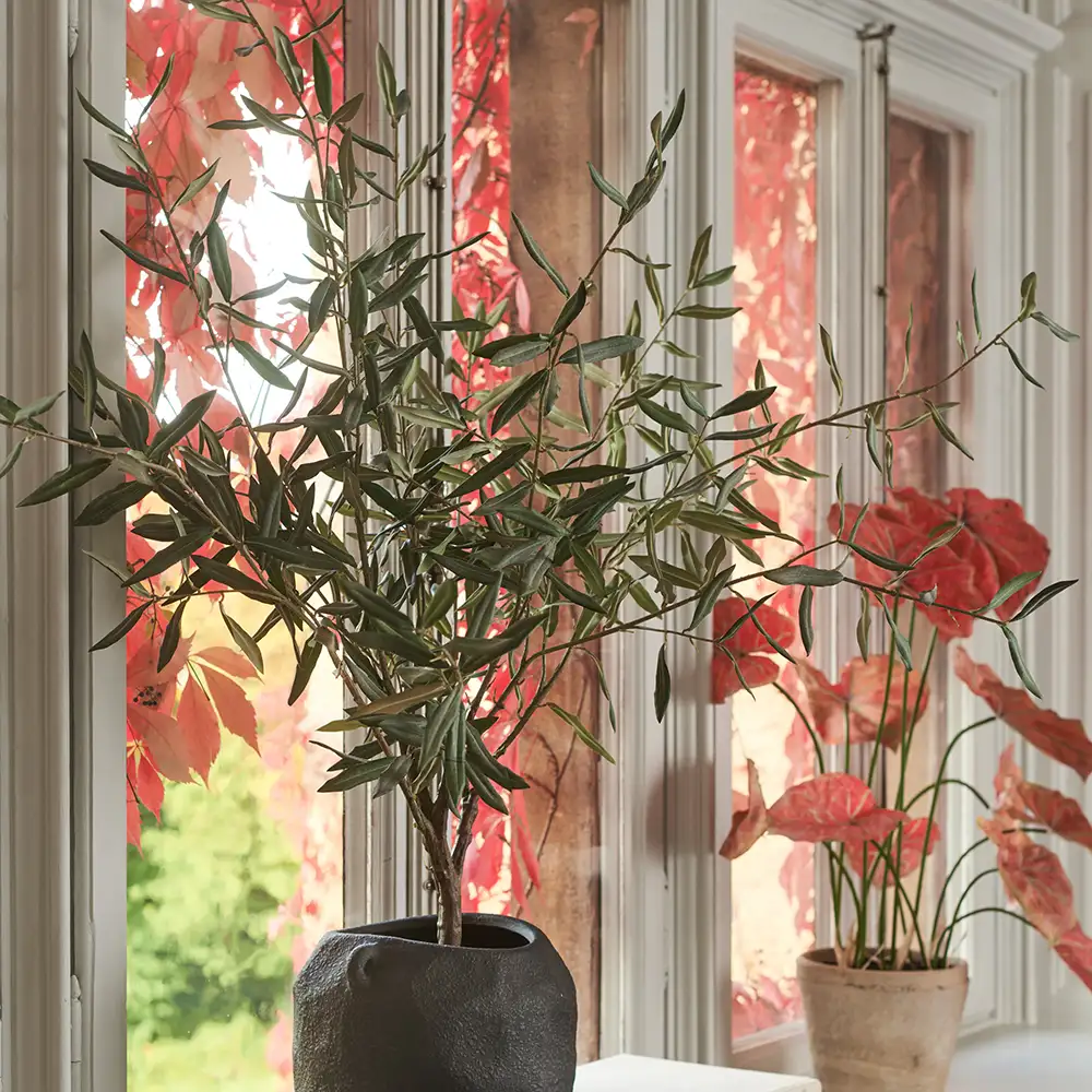 Olive tree 130 cm Green