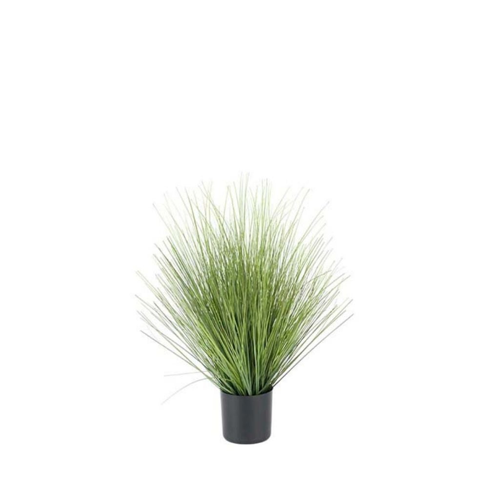 Green Grass 60cm