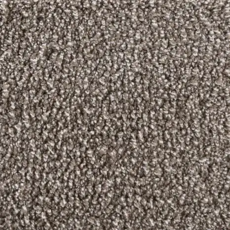 Carpet Cape taupe 2x3 m