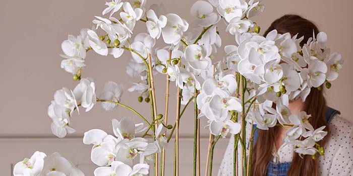 Flowering