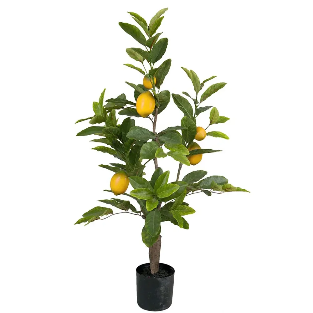  Lemon tree 90 cm