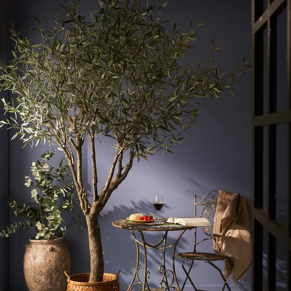 Olive tree 240 cm Green