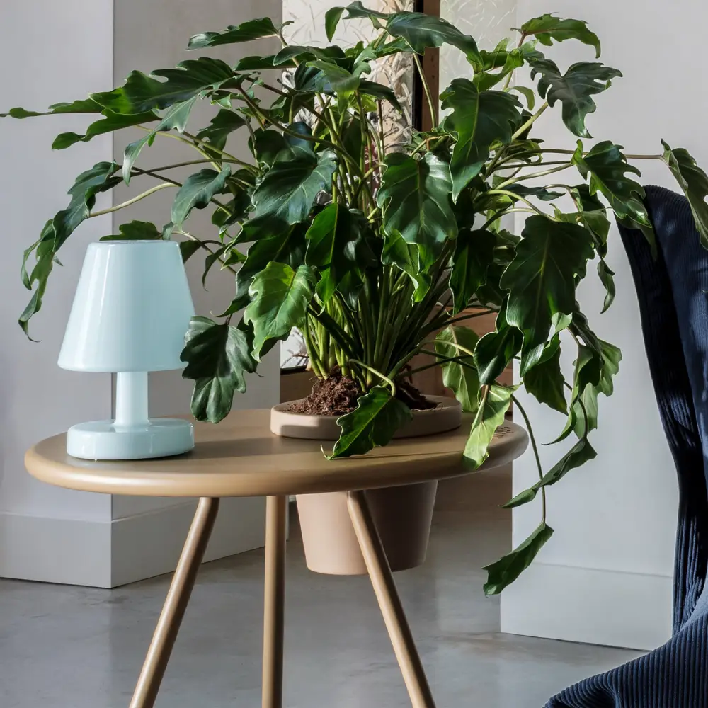 Edison the Ambiance - Table lamp polar blue