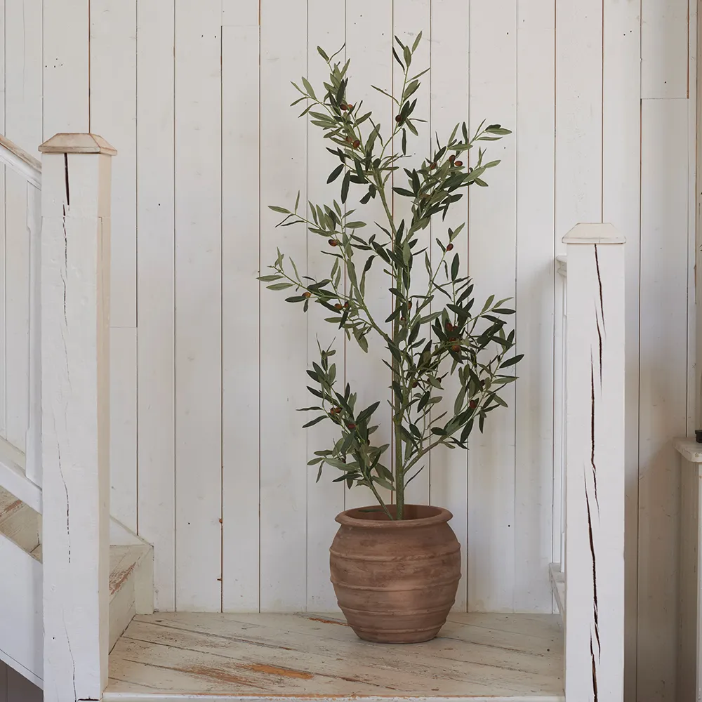 Olive tree 140 cm Green