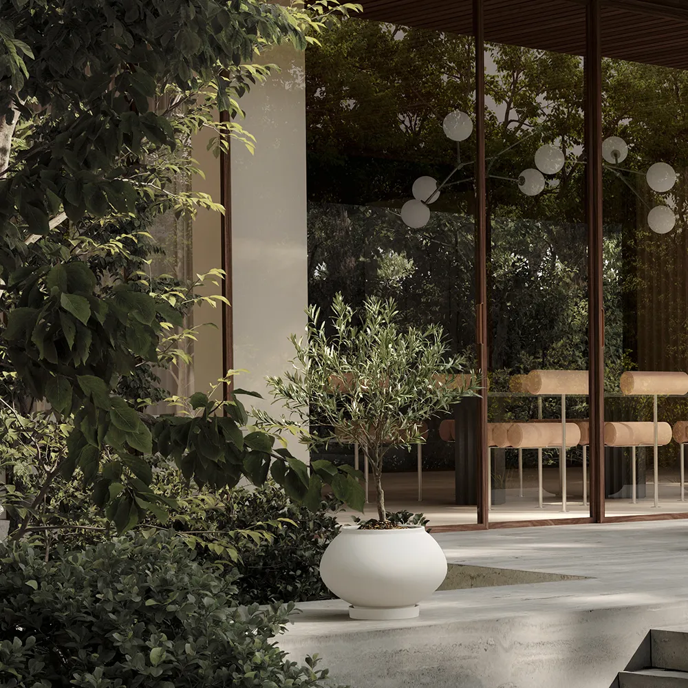 Sunao pot Fat Medio - Birch