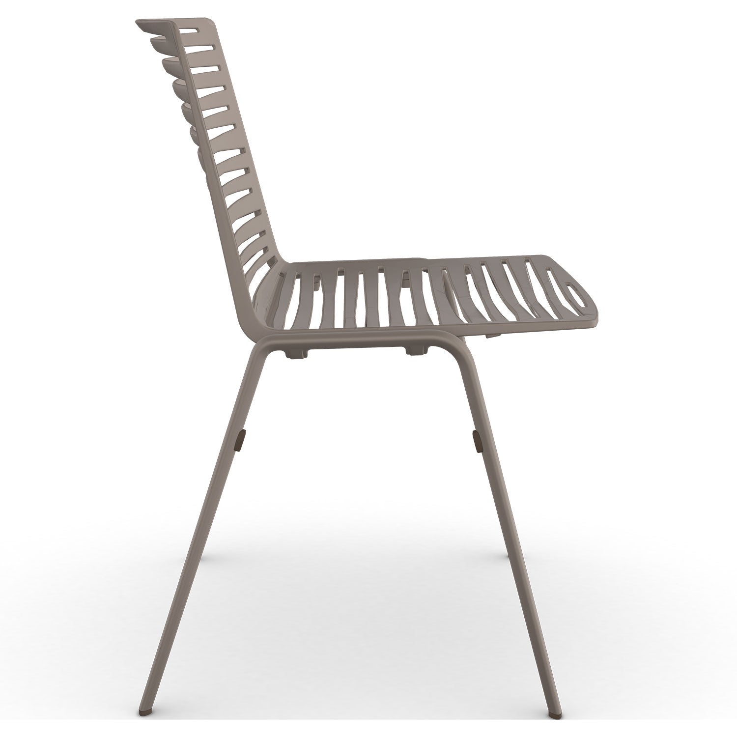 Zebra dining chair Pearly Gold
