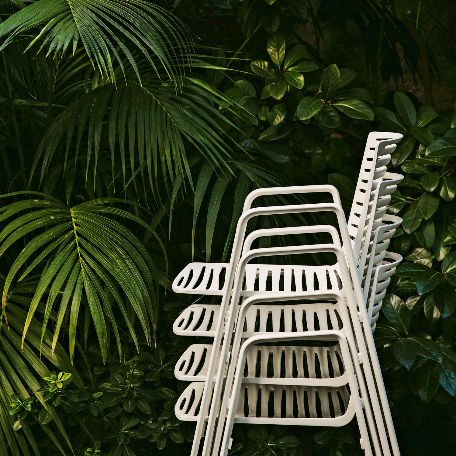 Zebra armchair Green Tea