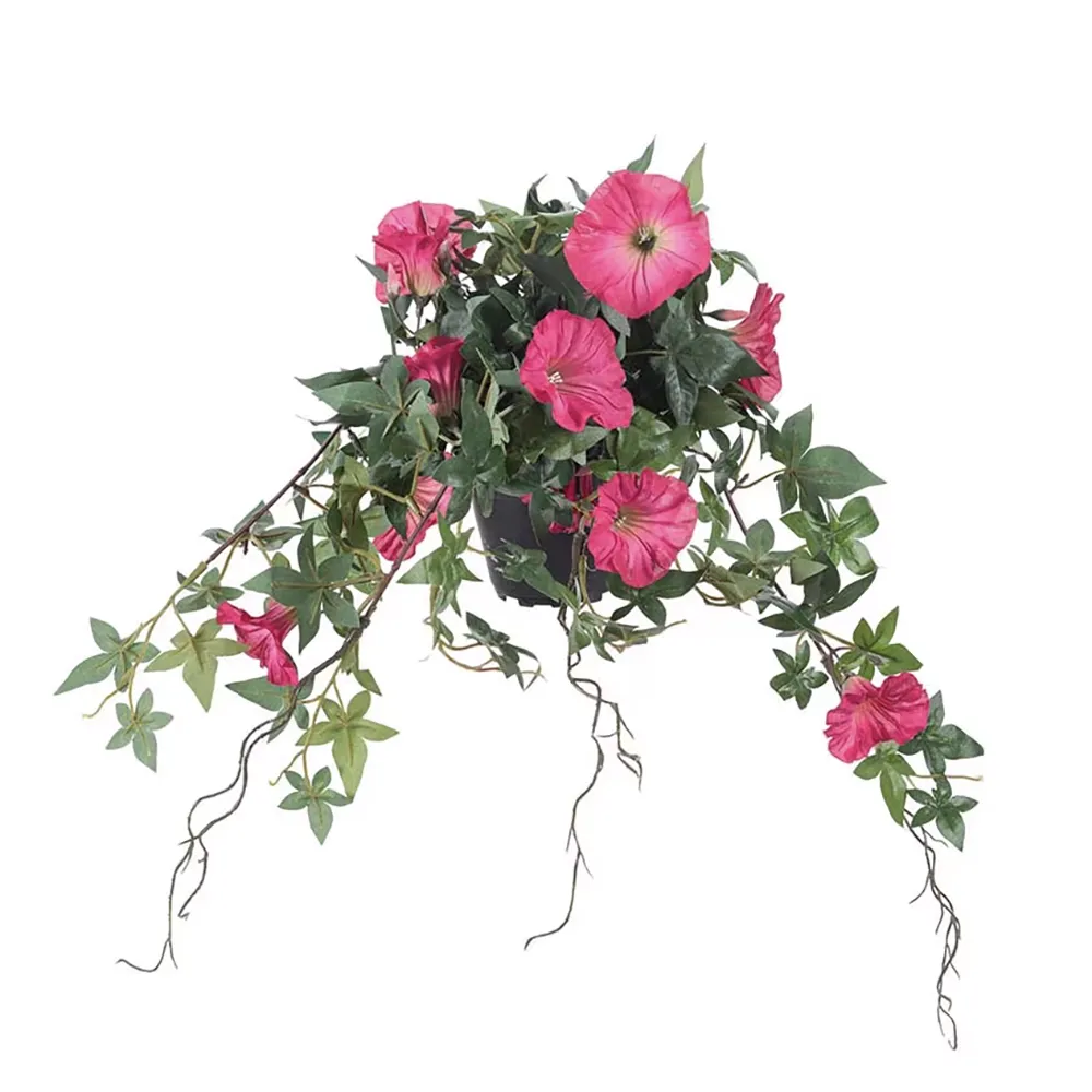 Flower of the day Pink