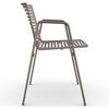 Zebra armchair Pearly Gold