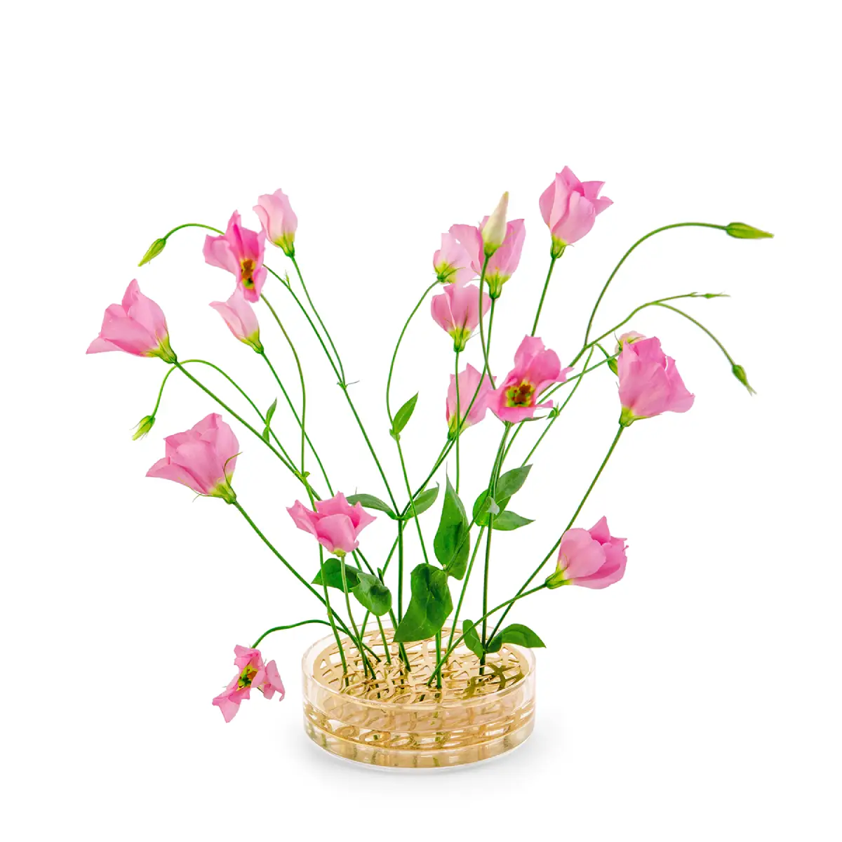 Äng Pond vase brass