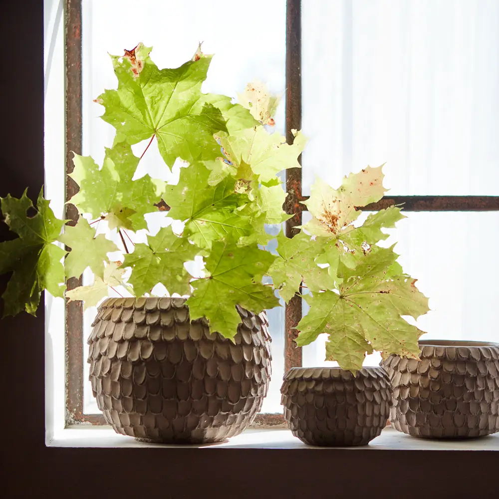 FUDGE Pot XS Nougat brown