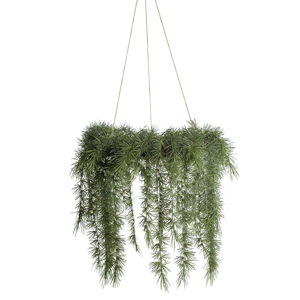Hanging Christmas wreath