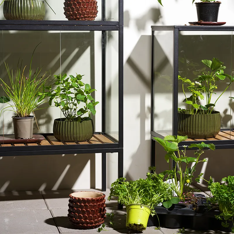 Grower Greens plant cabinet S black 