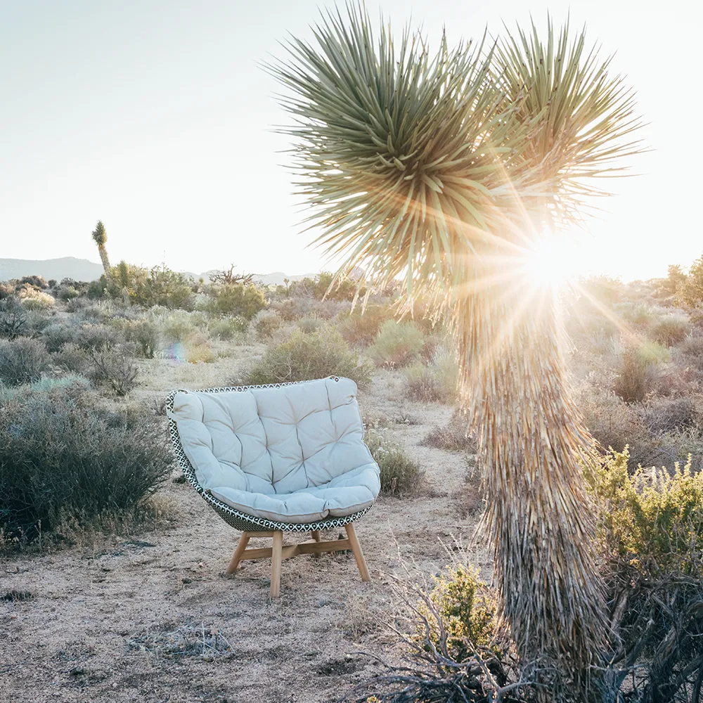 Mbrace wing chair teak AY5 teak 0205 pepper 0115