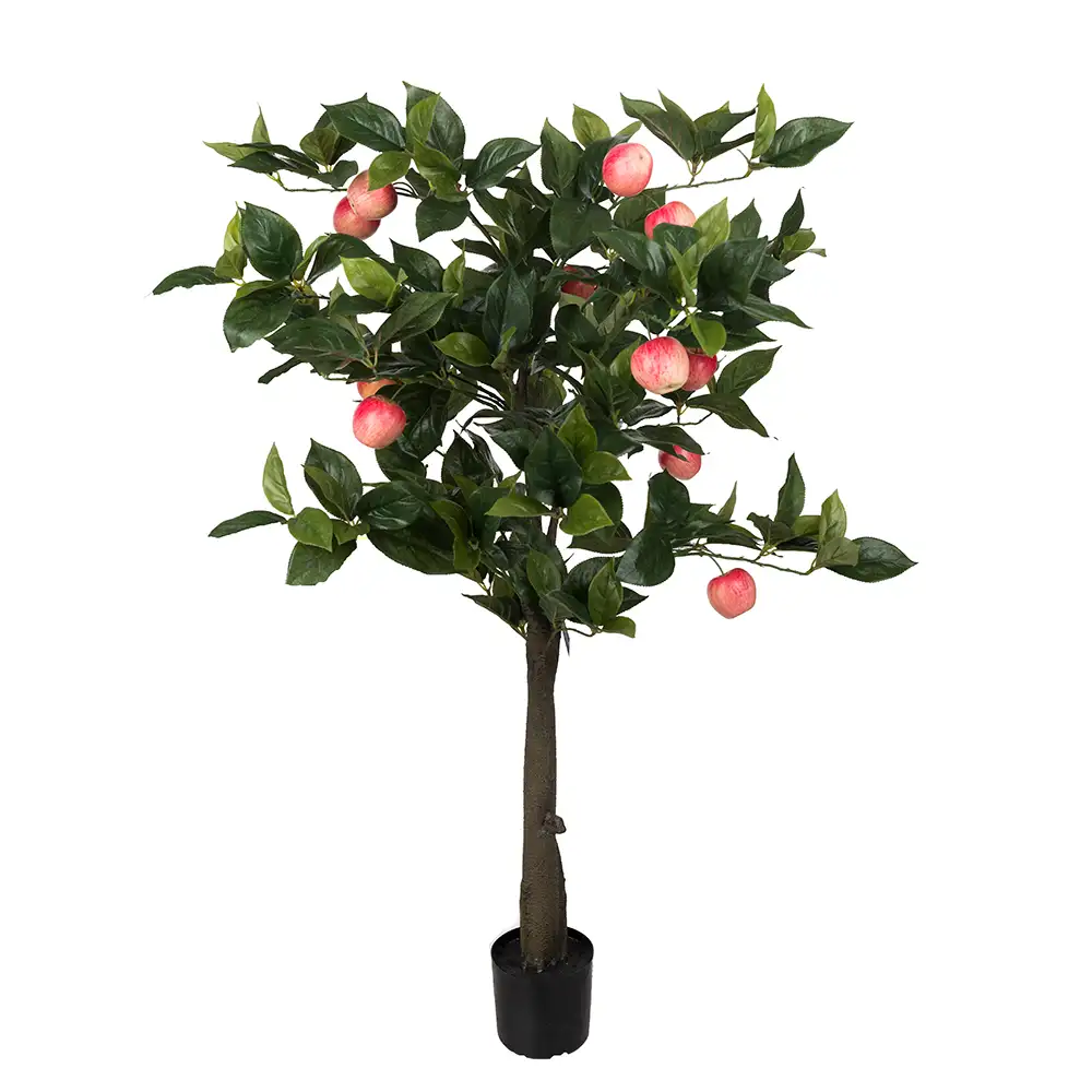 Apple tree 110 cm