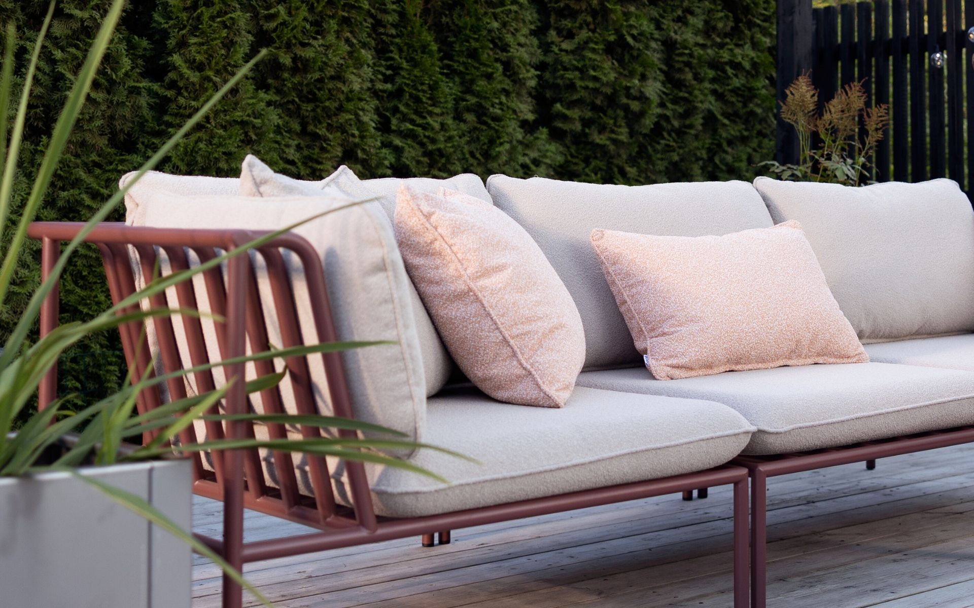 COLLIER kollektion.jpg