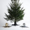 Christmas tree base Black
