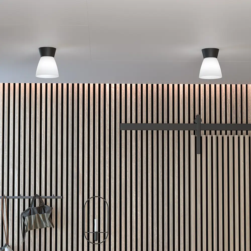 Bizzo ceiling D165 matt black/opal glass E27