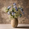 Scabiosa Cut Flower 70 cm Blue