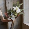Mistletoe 60 cm