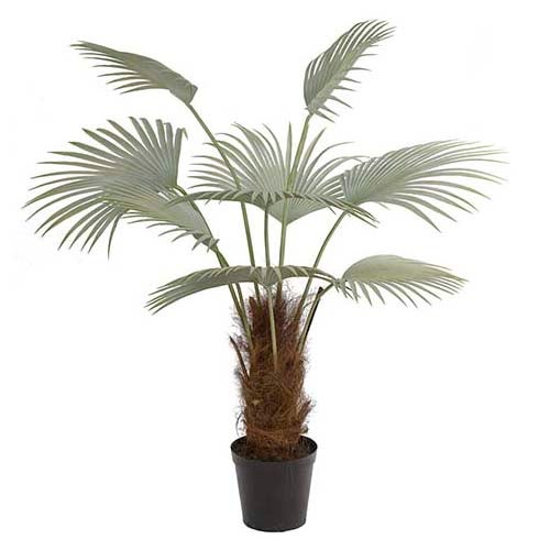 Palm 150 cm Grey