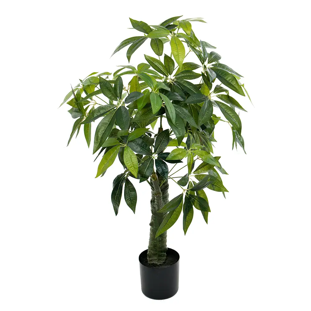 Pachira tree 120 cm