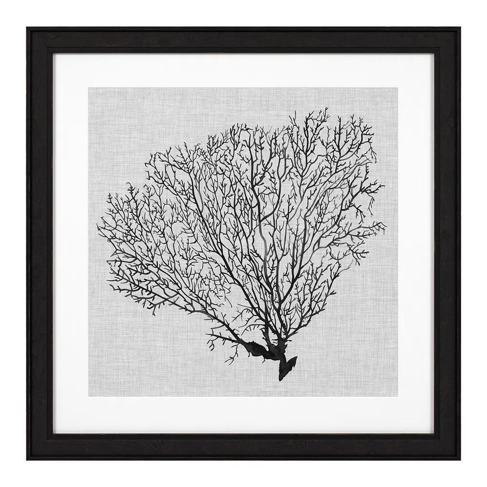 Prints Shadow Sea Fans set of 4