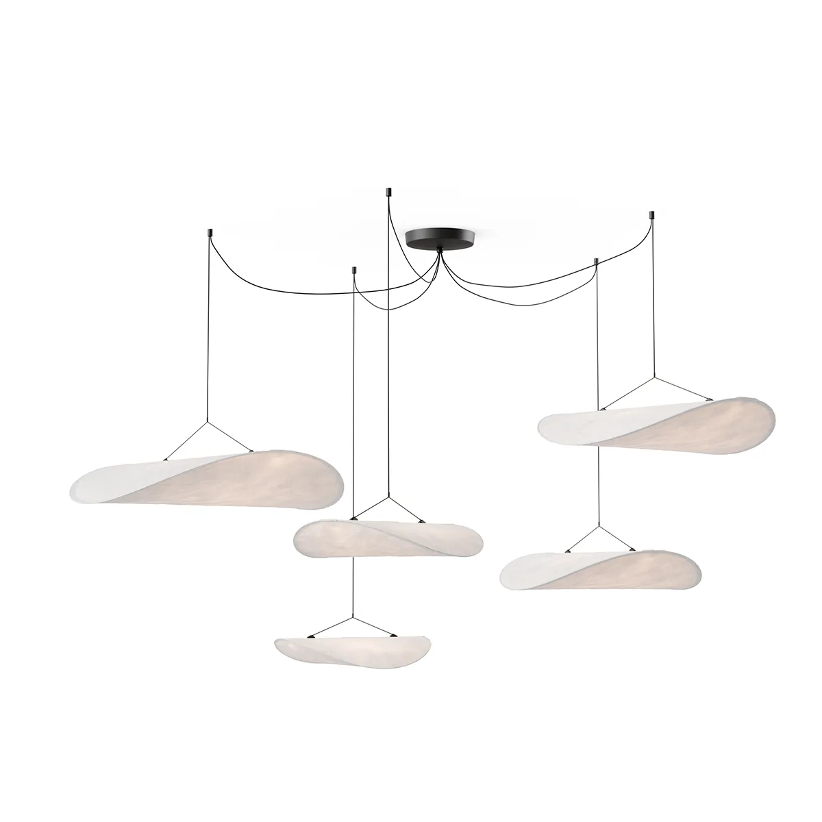 Canopy Tense Multi (5 pcs)