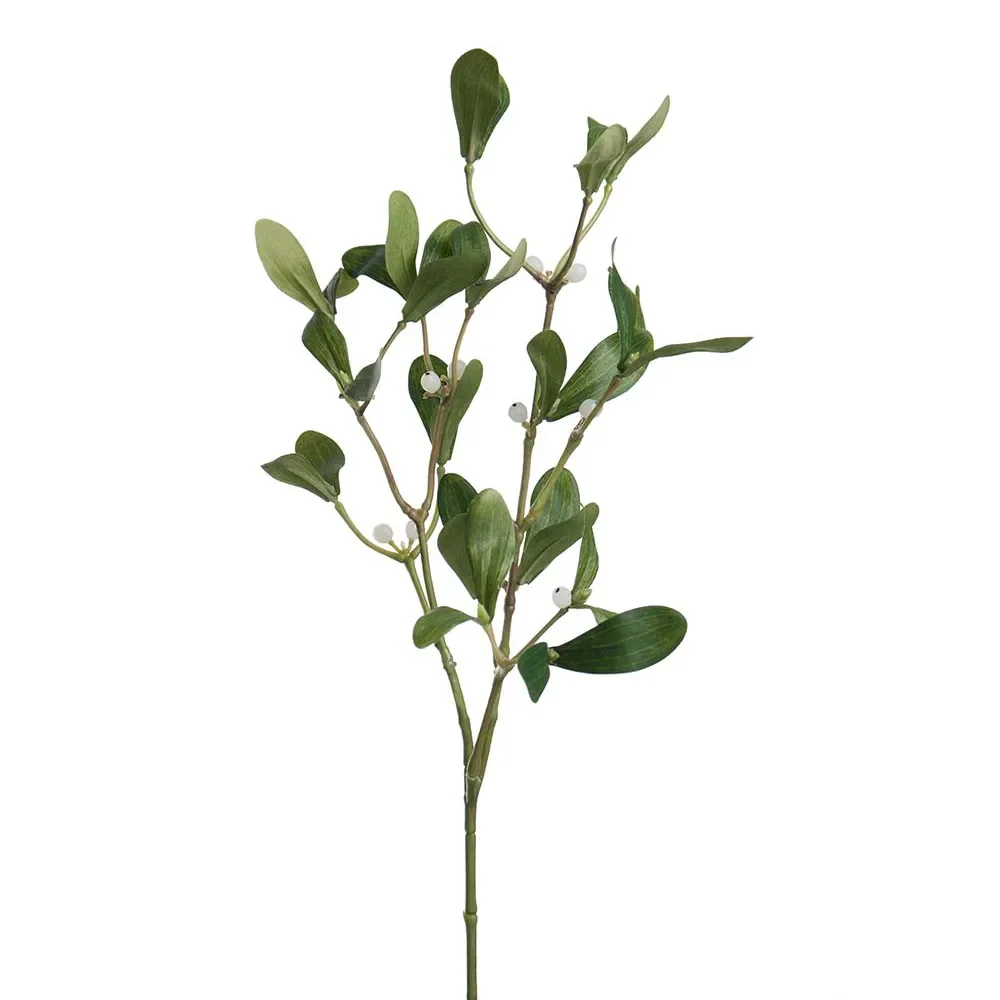 Mistletoe 60 cm