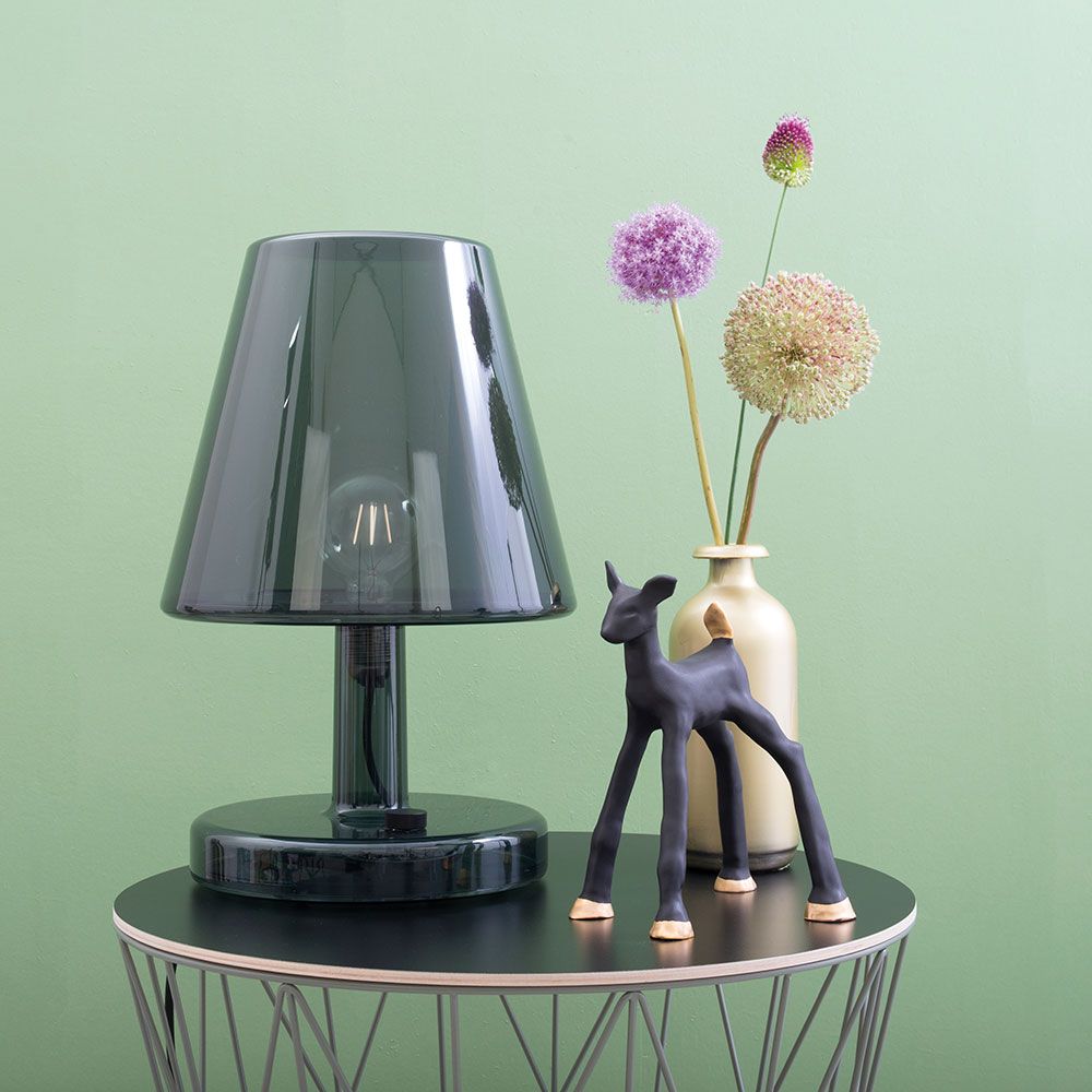 Trans-parents table lamp transparent