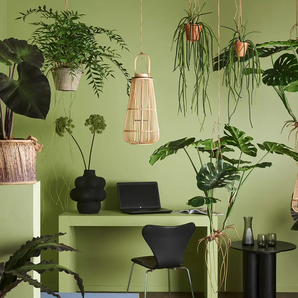 Monstera 110 cm Green