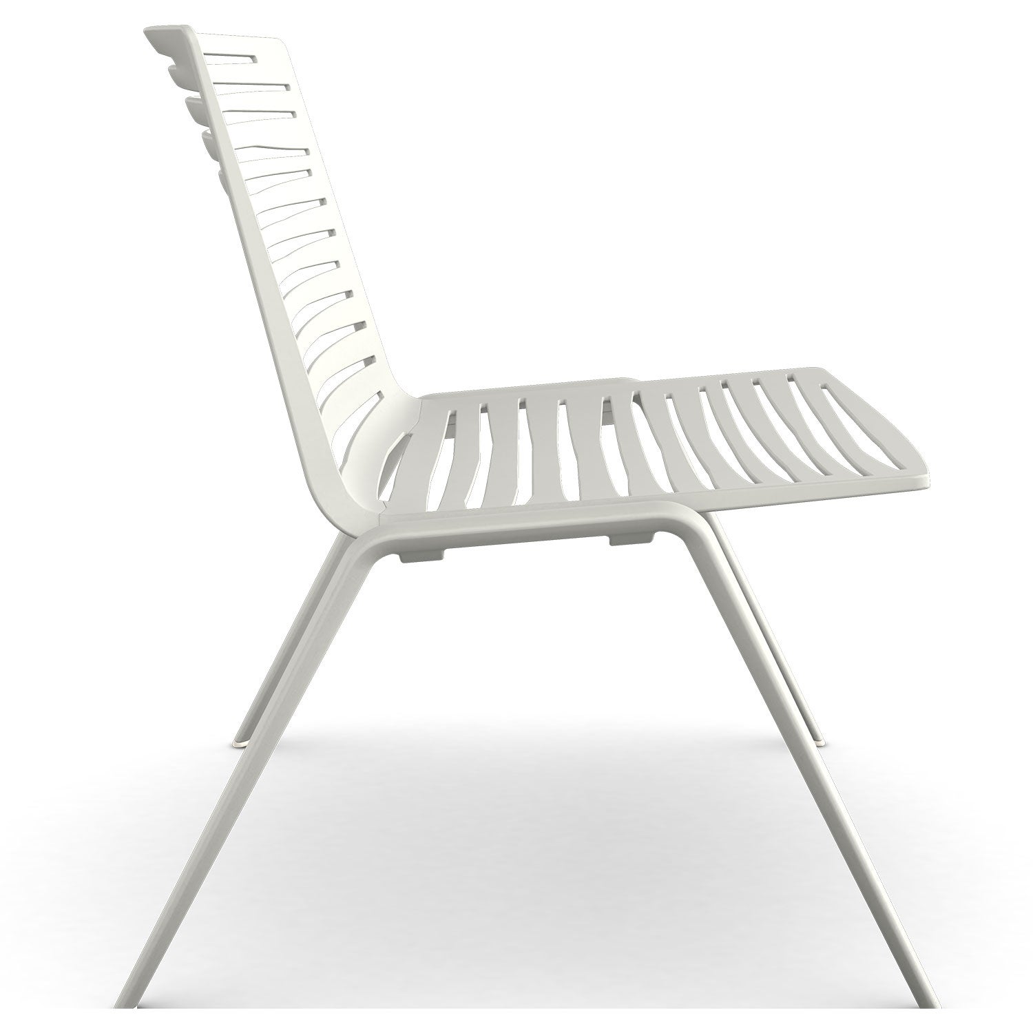 Zebra armchair White