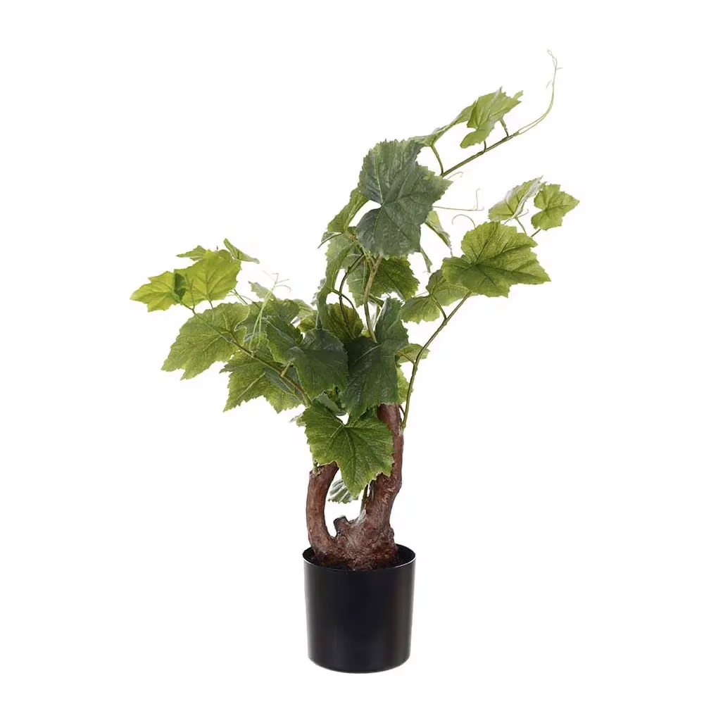 Grapevine 55 cm