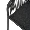 Delta chair    Black / Slate rope / Teddy Black