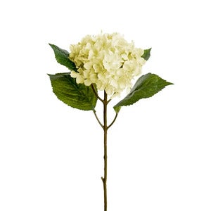  Hydrangea 40 cm white