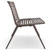 Zebra armchair Maracuja