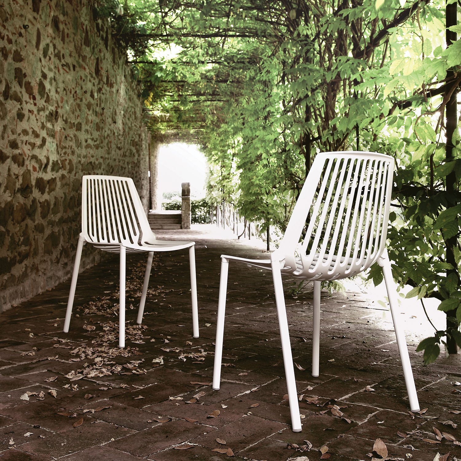 Rion dining chair Light Blue