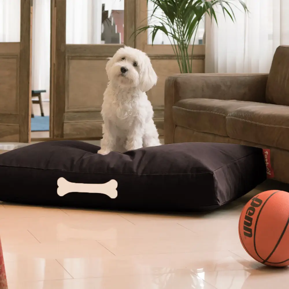 doggielounge L canvas recycled black licorice