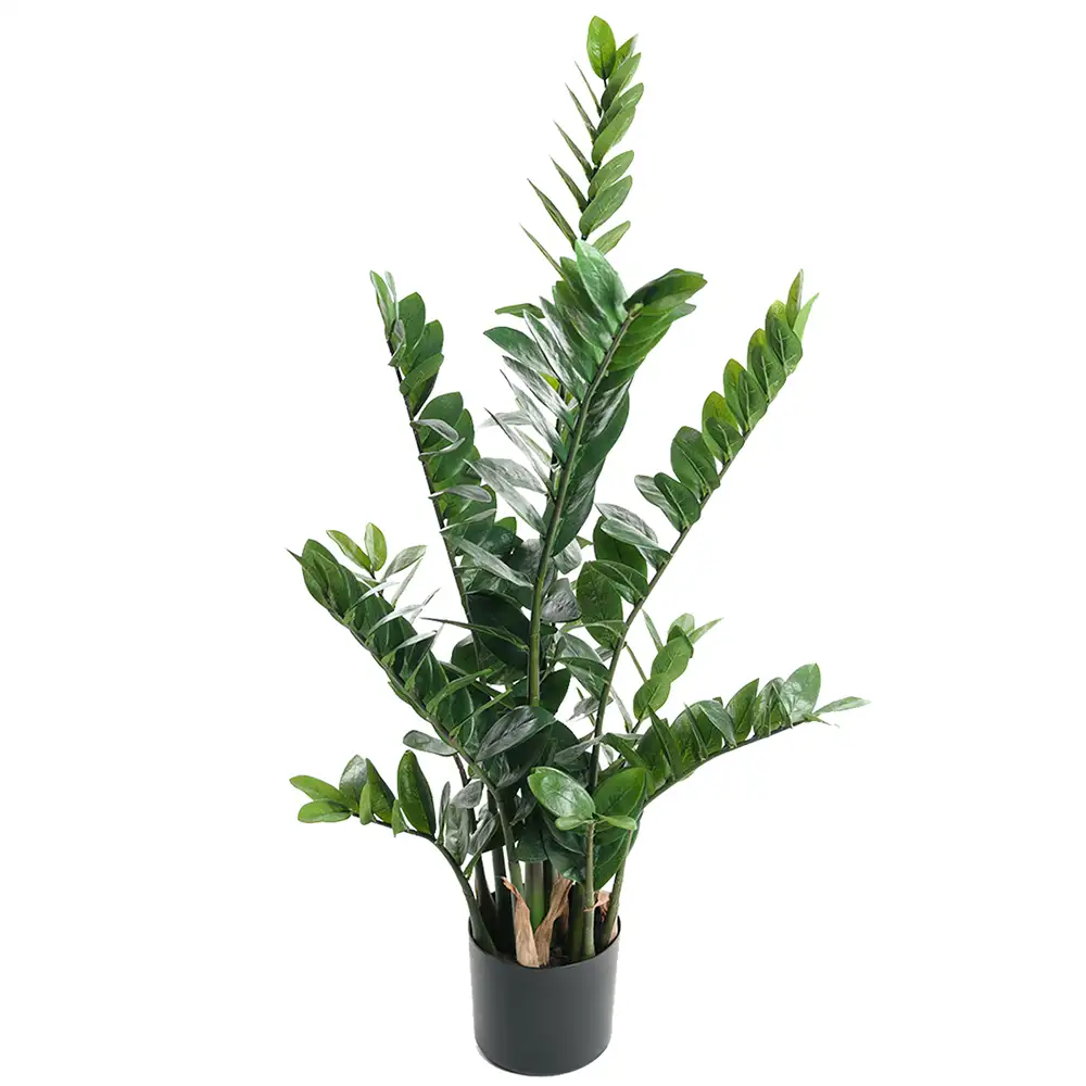 Zamifolia Potted plant 110 cm