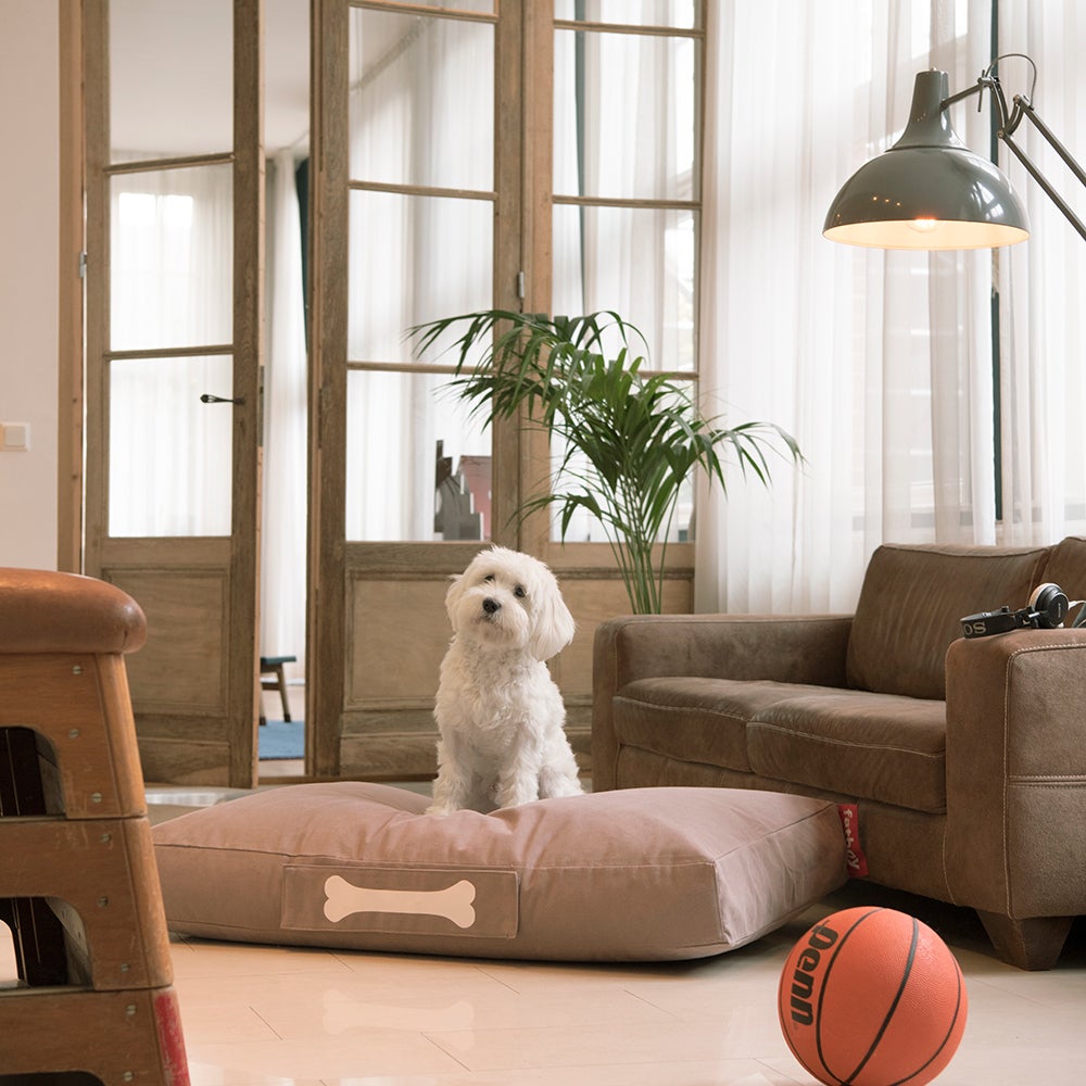 Doggielounge small stonewashed black