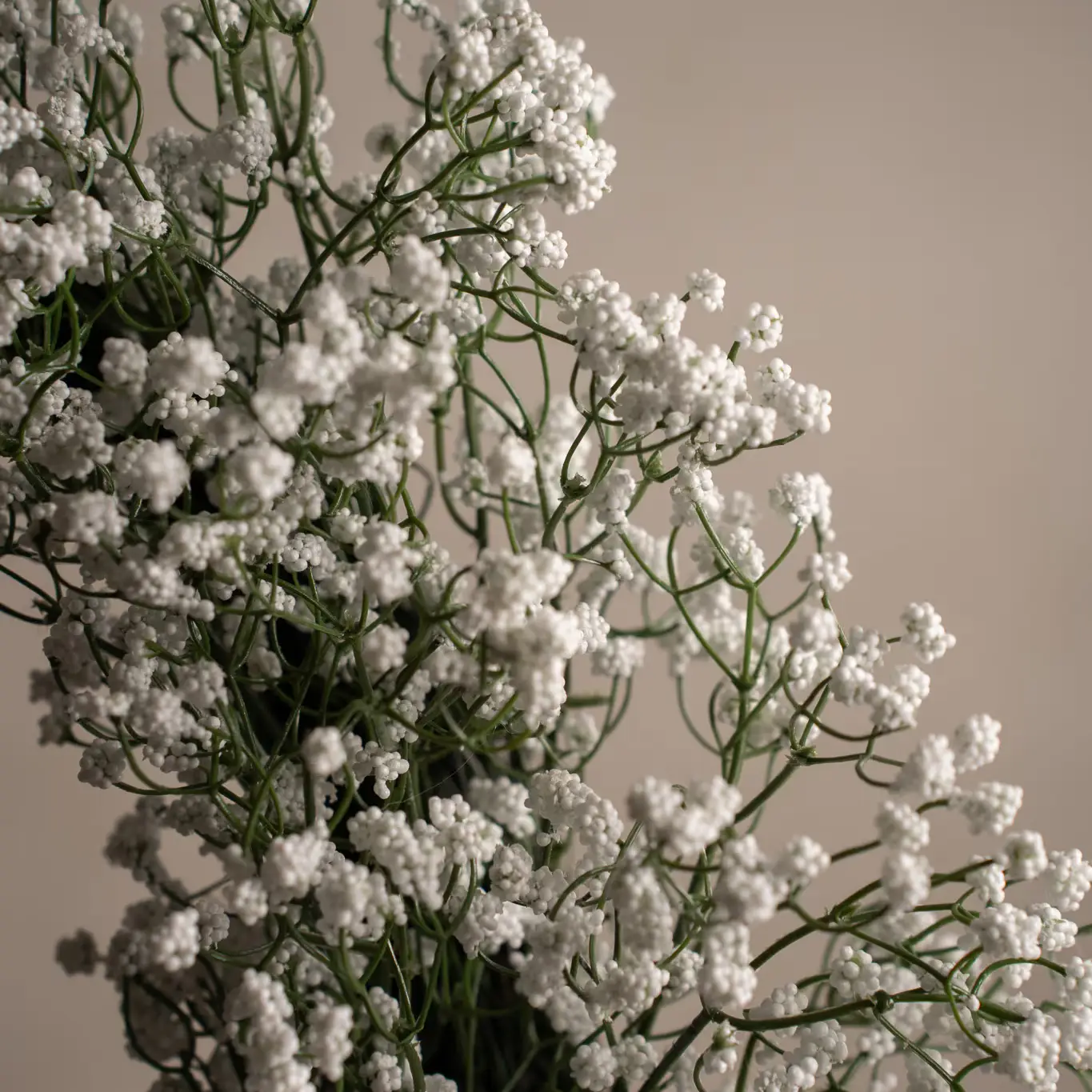 Bridal Veil Wreath White