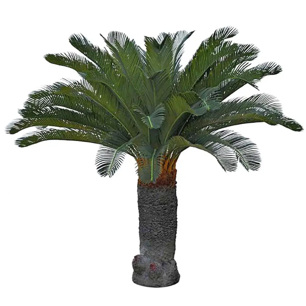 Cycas Palm 100 cm