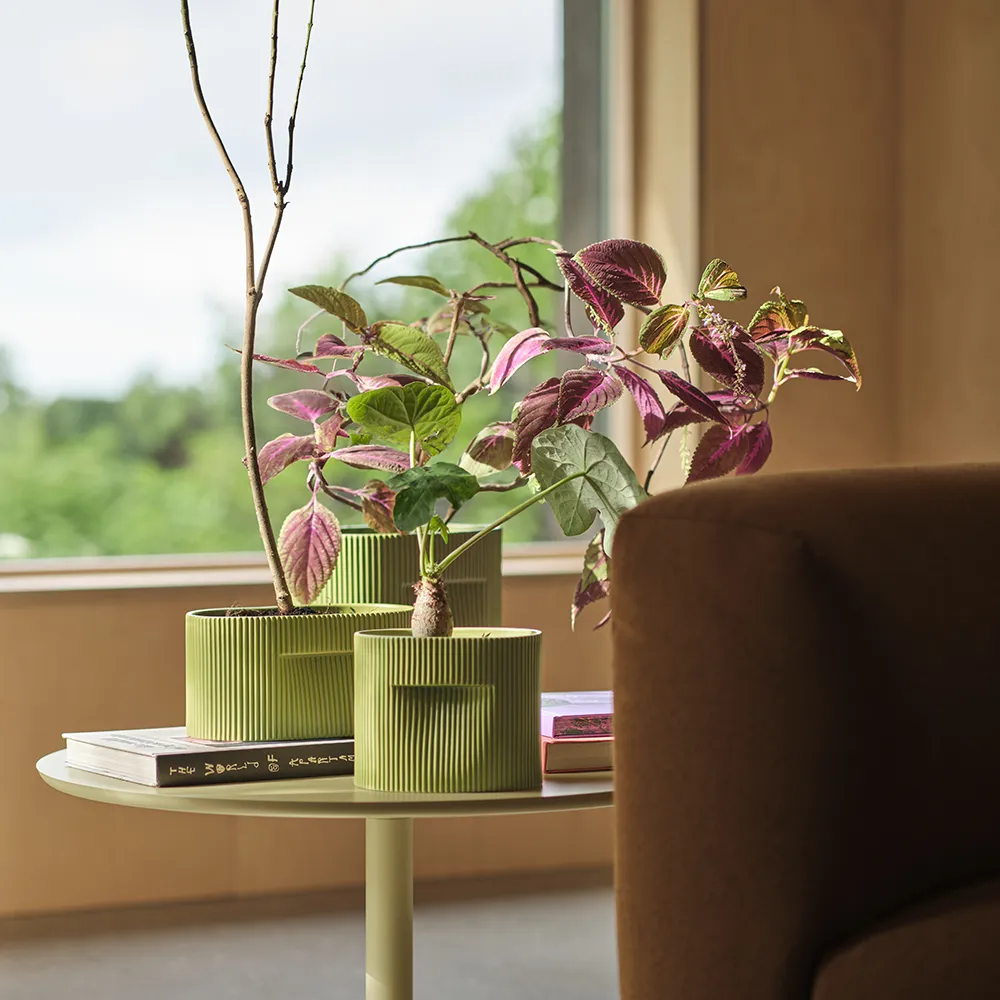 Ridge pot H: 13 cm - Moss green