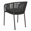 Delta chair    Anthracite / Slate Rope / Teddy Black