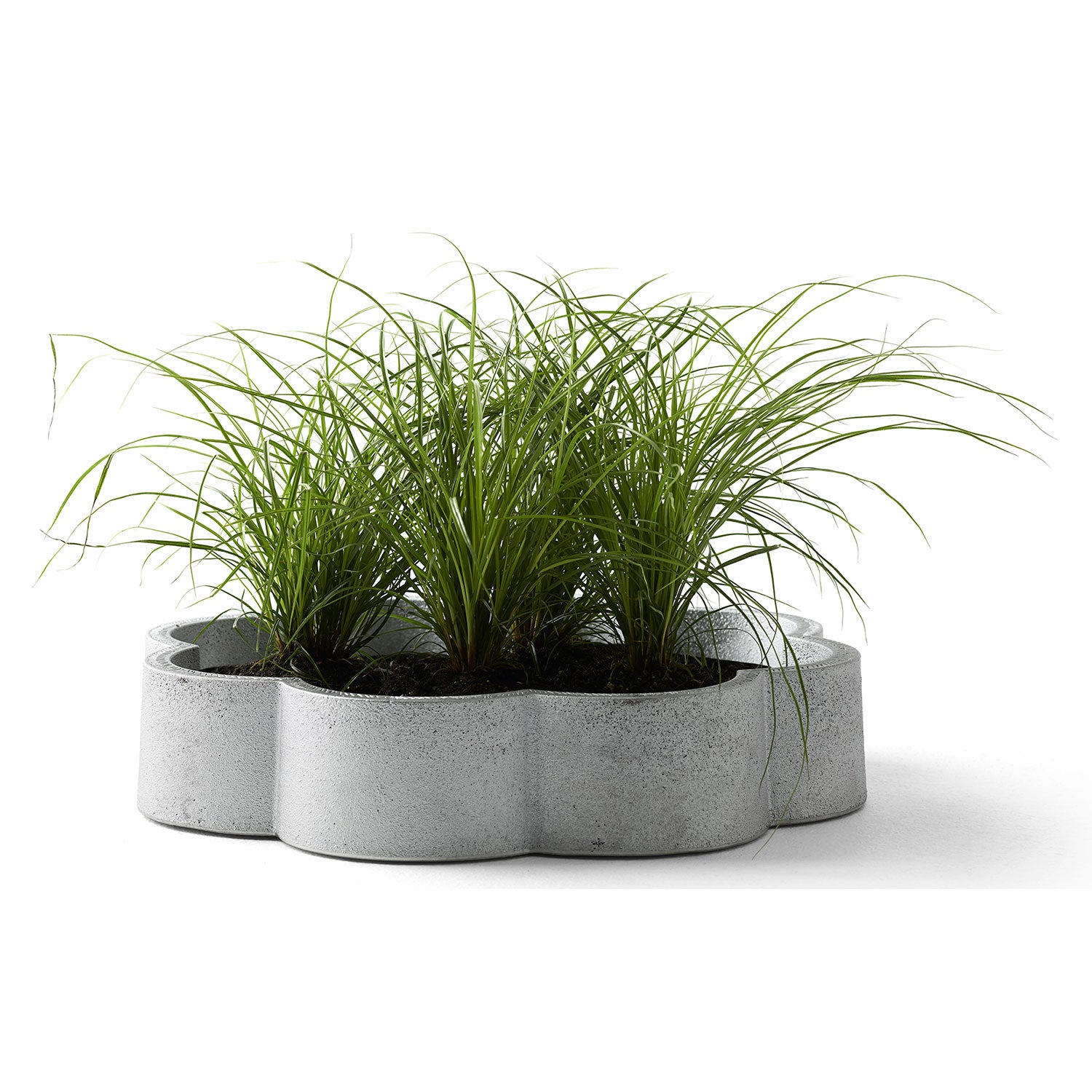 Seal barrel nature Byarums Bruk