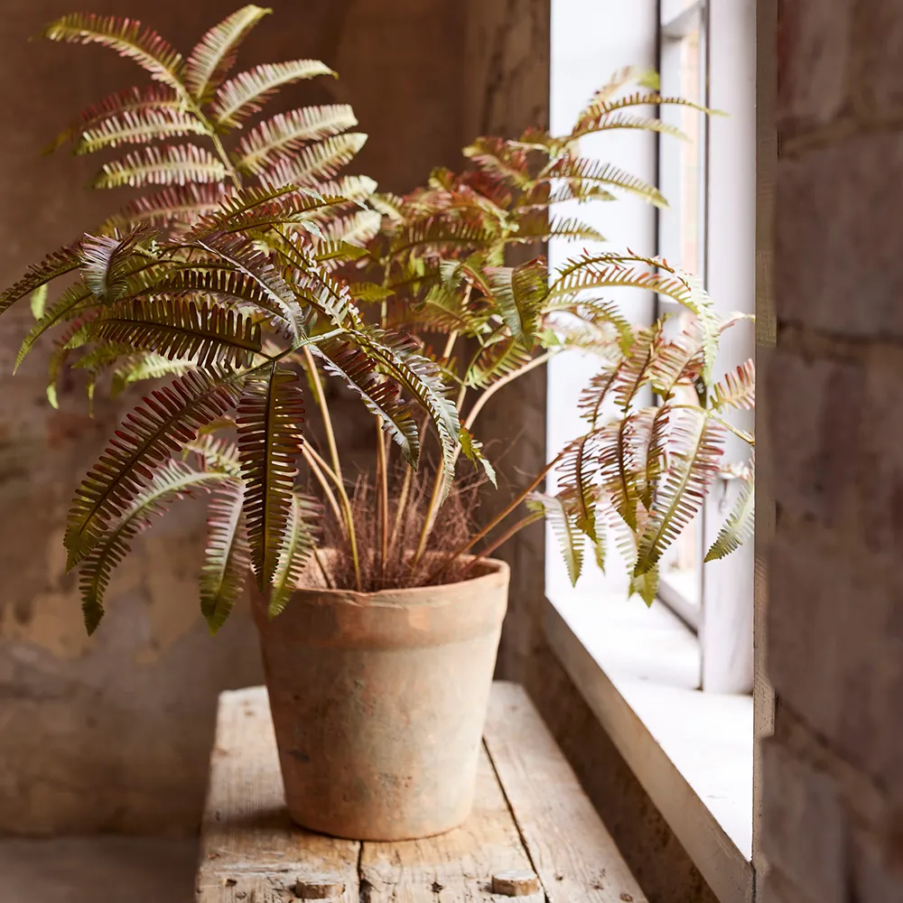 Fern 70 cm